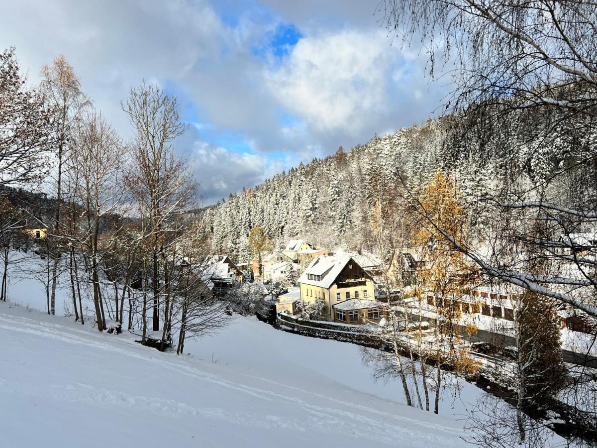 Urige Berghuette Mit Kamin Und Sauna Im Erzgebirge Nahe Schwarzwassertal Pobershau Exterior foto
